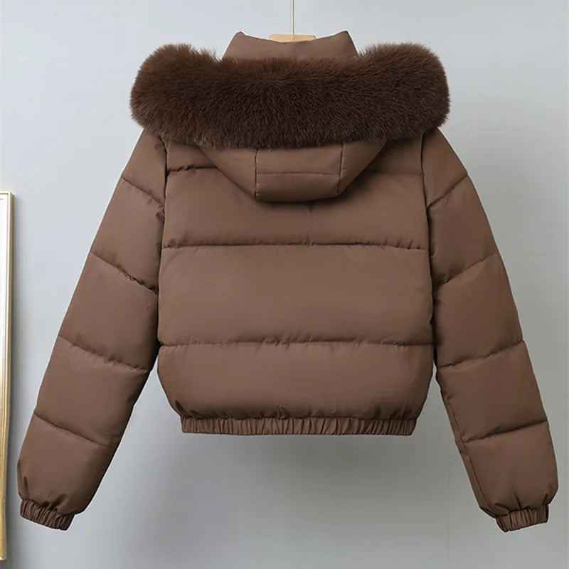 Cotton-padded  Jackets