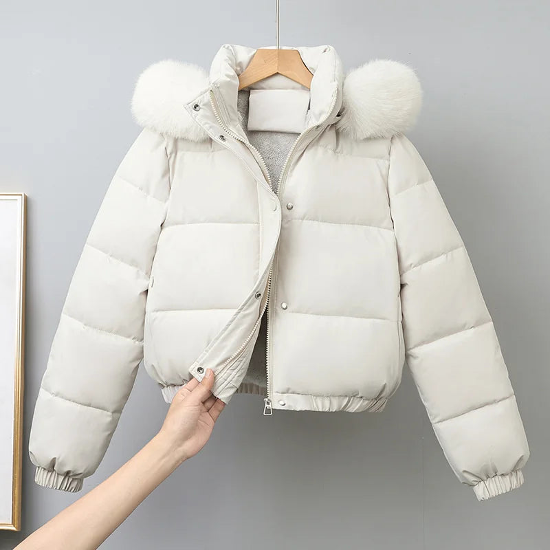 Cotton-padded  Jackets
