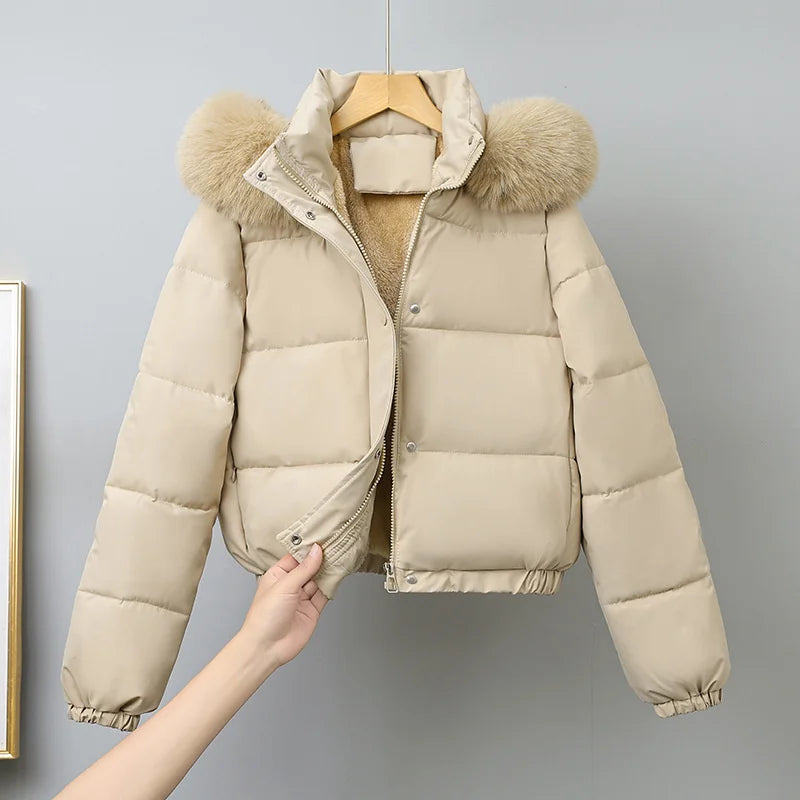 Cotton-padded  Jackets