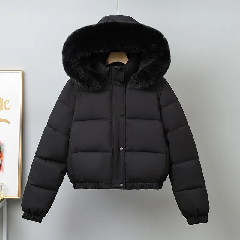 Cotton-padded  Jackets