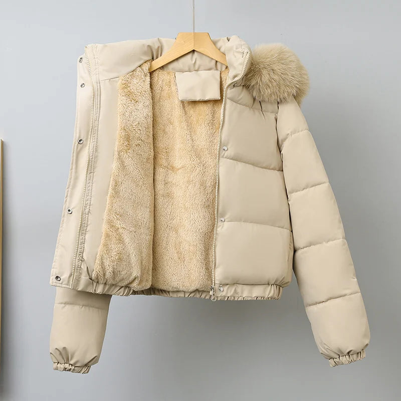 Cotton-padded  Jackets