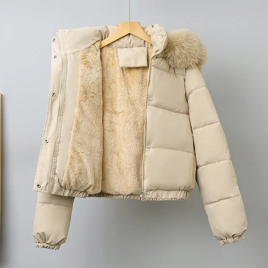 Cotton-padded  Jackets