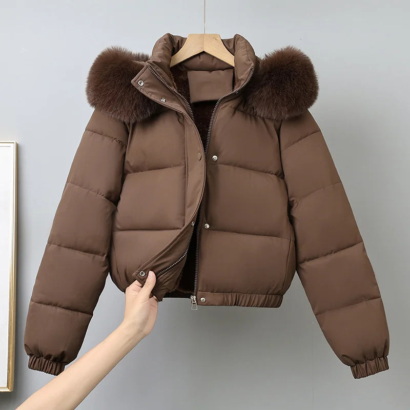 Cotton-padded  Jackets